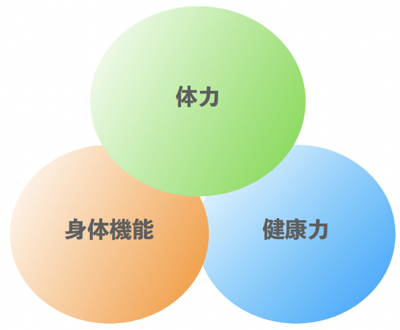 シニア世代の「体力」「身体機能」「健康力」イメージ